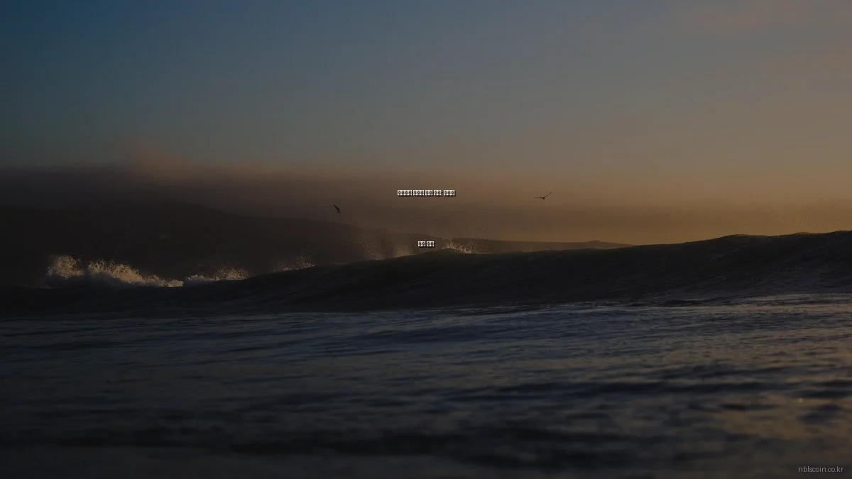 암호화폐 거래소 비교 분석: 상황별 추천 전략