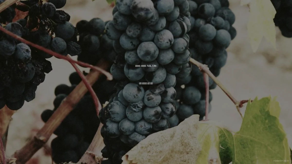 비트코인, 이더리움, NBLS 코인: 주요 암호화폐 비교 분석