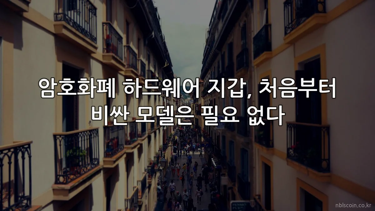 암호화폐 하드웨어 지갑, 처음부터 비싼 모델은 필요 없다
