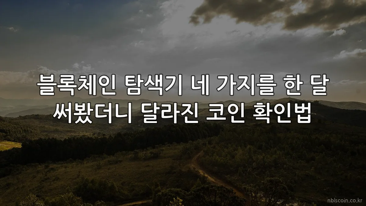 블록체인 탐색기 네 가지를 한 달 써봤더니 달라진 코인 확인법