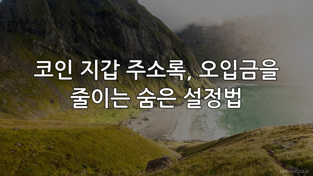 코인 지갑 주소록, 오입금을 줄이는 숨은 설정법