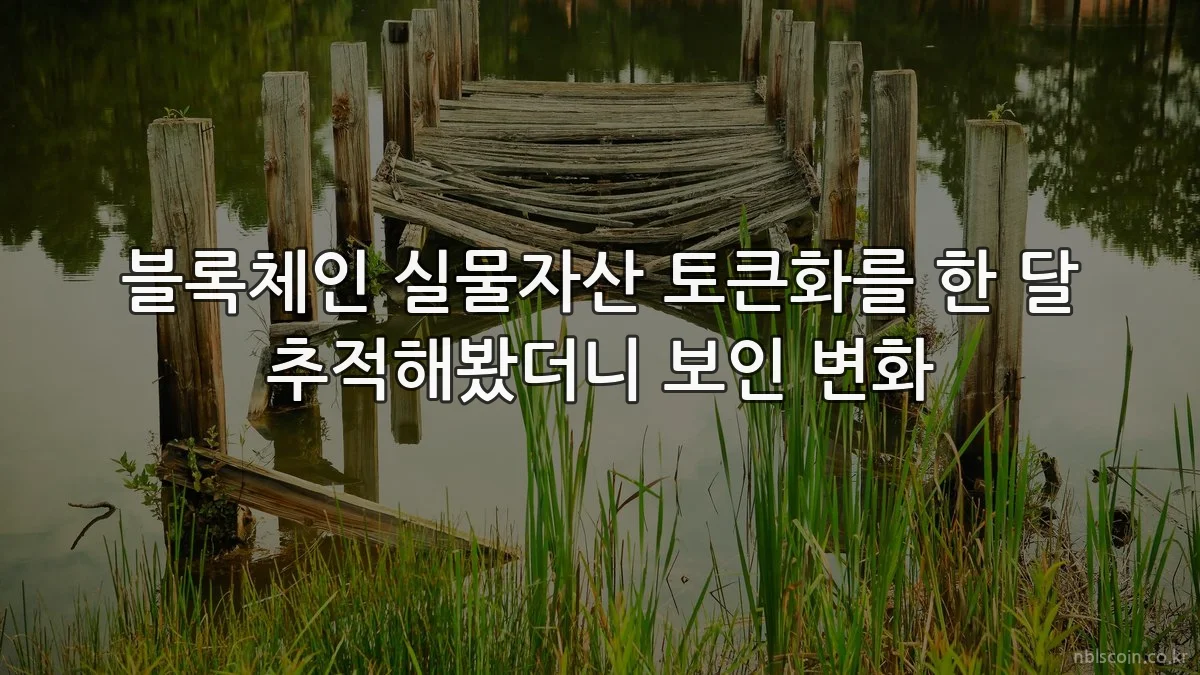 블록체인 실물자산 토큰화를 한 달 추적해봤더니 보인 변화