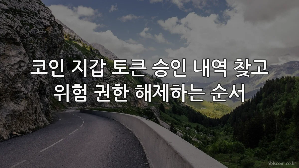 코인 지갑 토큰 승인 내역 찾고 위험 권한 해제하는 순서