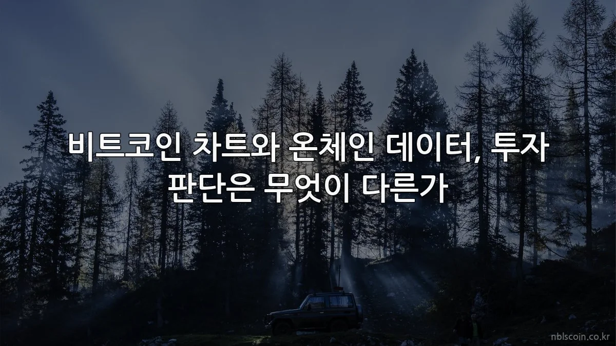 비트코인 차트와 온체인 데이터, 투자 판단은 무엇이 다른가