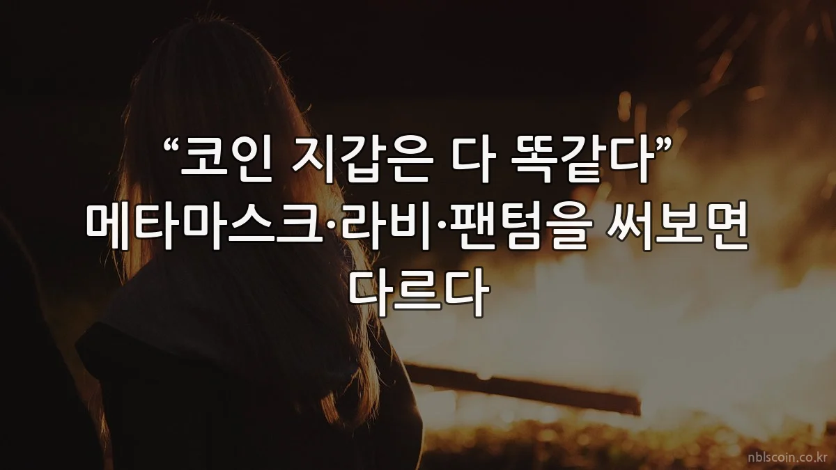 “코인 지갑은 다 똑같다” 메타마스크·라비·팬텀을 써보면 다르다