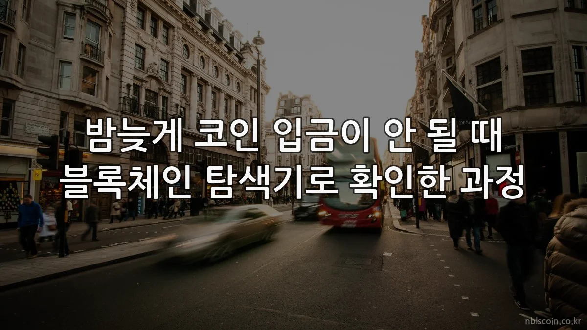 밤늦게 코인 입금이 안 될 때 블록체인 탐색기로 확인한 과정