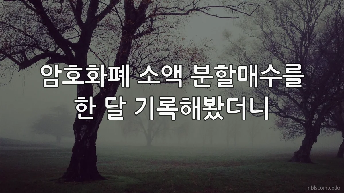 암호화폐 소액 분할매수를 한 달 기록해봤더니