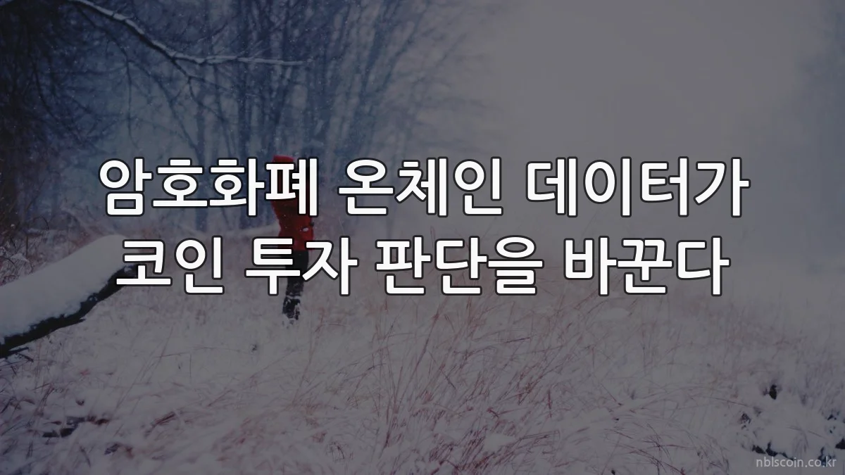 암호화폐 온체인 데이터가 코인 투자 판단을 바꾼다