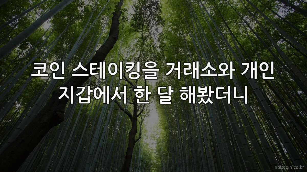 코인 스테이킹을 거래소와 개인 지갑에서 한 달 해봤더니