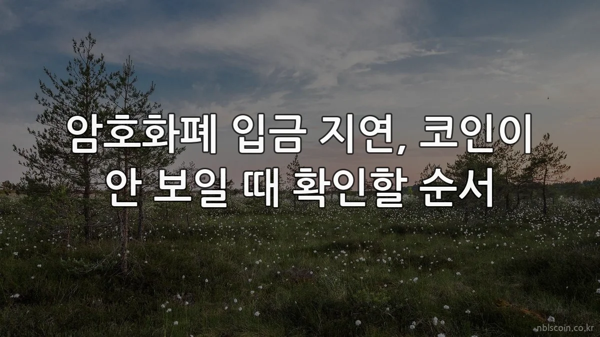 암호화폐 입금 지연, 코인이 안 보일 때 확인할 순서