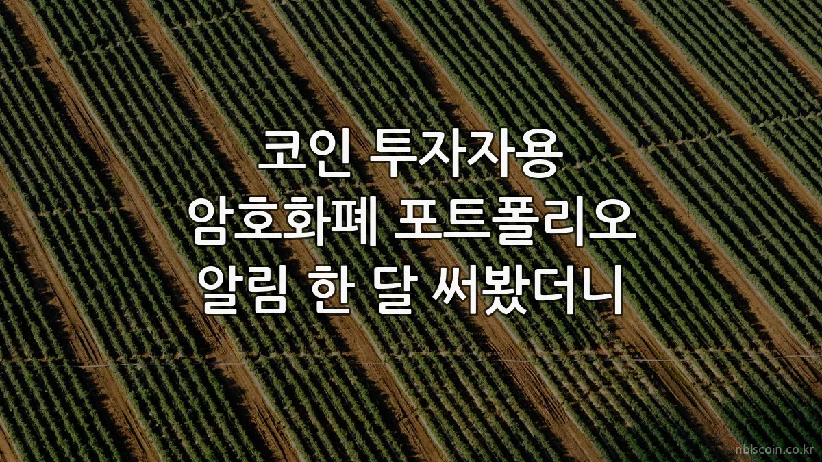 코인 투자자용 암호화폐 포트폴리오 알림 한 달 써봤더니