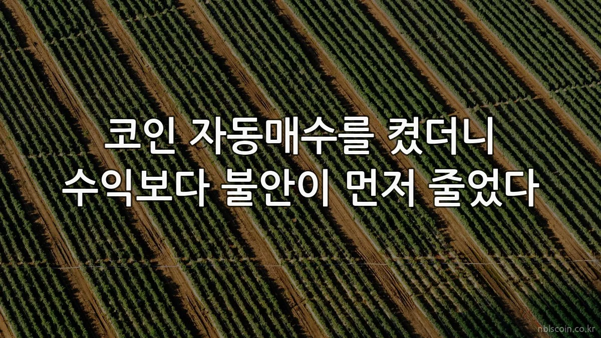 코인 자동매수를 켰더니 수익보다 불안이 먼저 줄었다