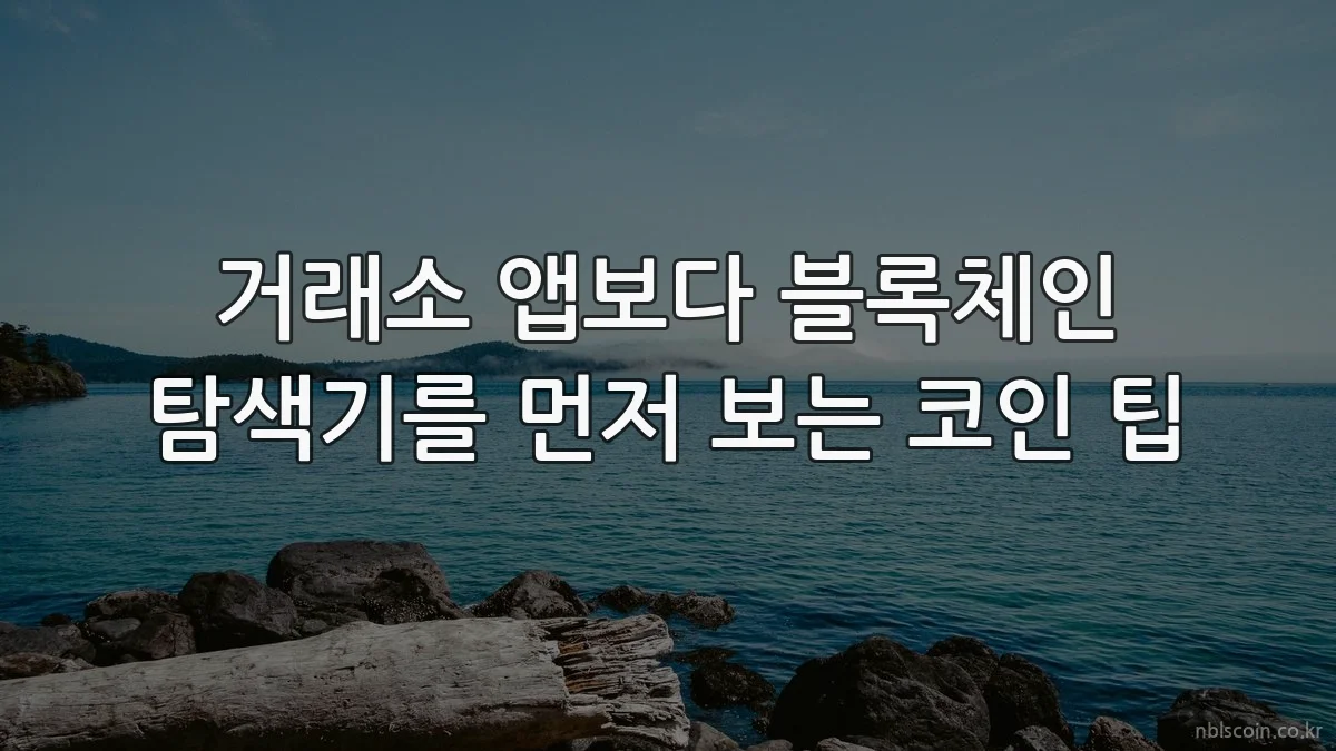 거래소 앱보다 블록체인 탐색기를 먼저 보는 코인 팁