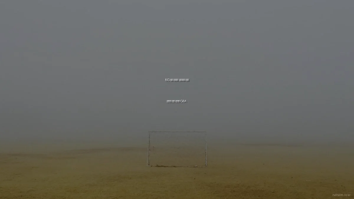 ND 하임 아파트: 성공적인 분양 선택을 위한 전문가 Q&A