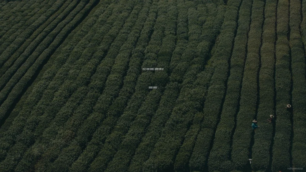 ND 하임 아파트, 살면서 알게 된 장단점 총정리