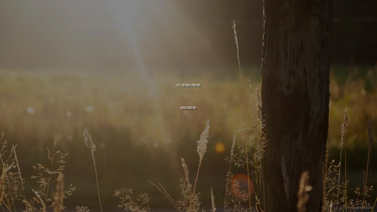 ND 하임 아파트, 예산별 선택 가이드와 가성비 분석