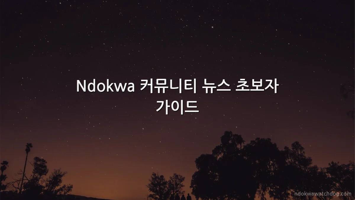Ndokwa 커뮤니티 뉴스 초보자 가이드