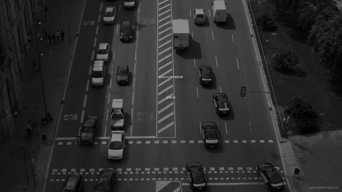 Ndokwa 지역 거버넌스 혁신 트렌드와 전망