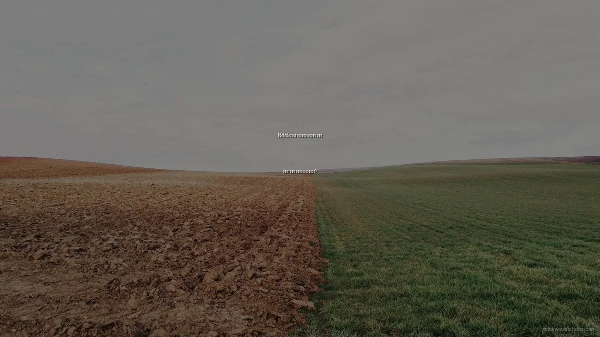 Ndokwa 커뮤니티 미디어 비교 분석: 어떤 정보를 선택할까?