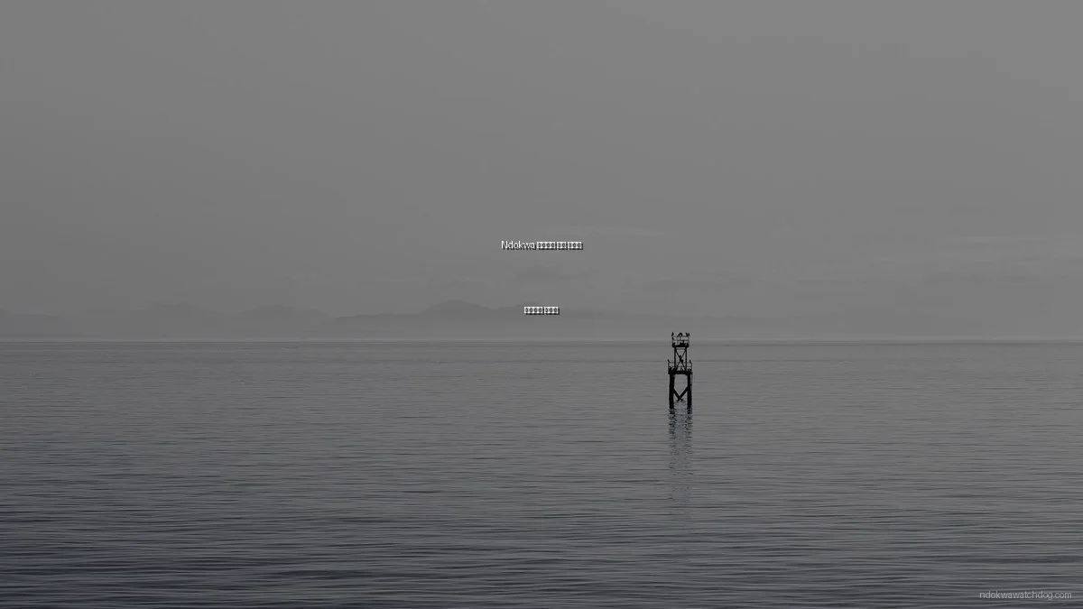 Ndokwa 커뮤니티 참여 예산별 효과적인 가이드