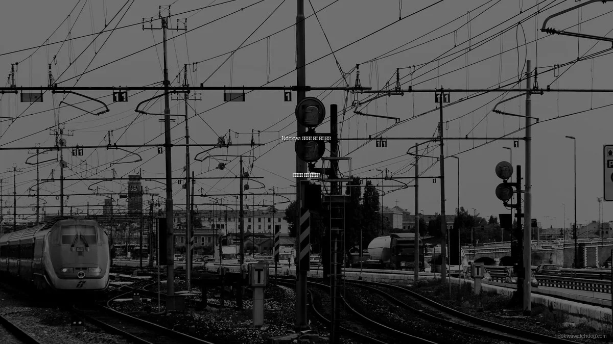 Ndokwa 커뮤니티 뉴스 채널 비교: 당신에게 맞는 선택은?