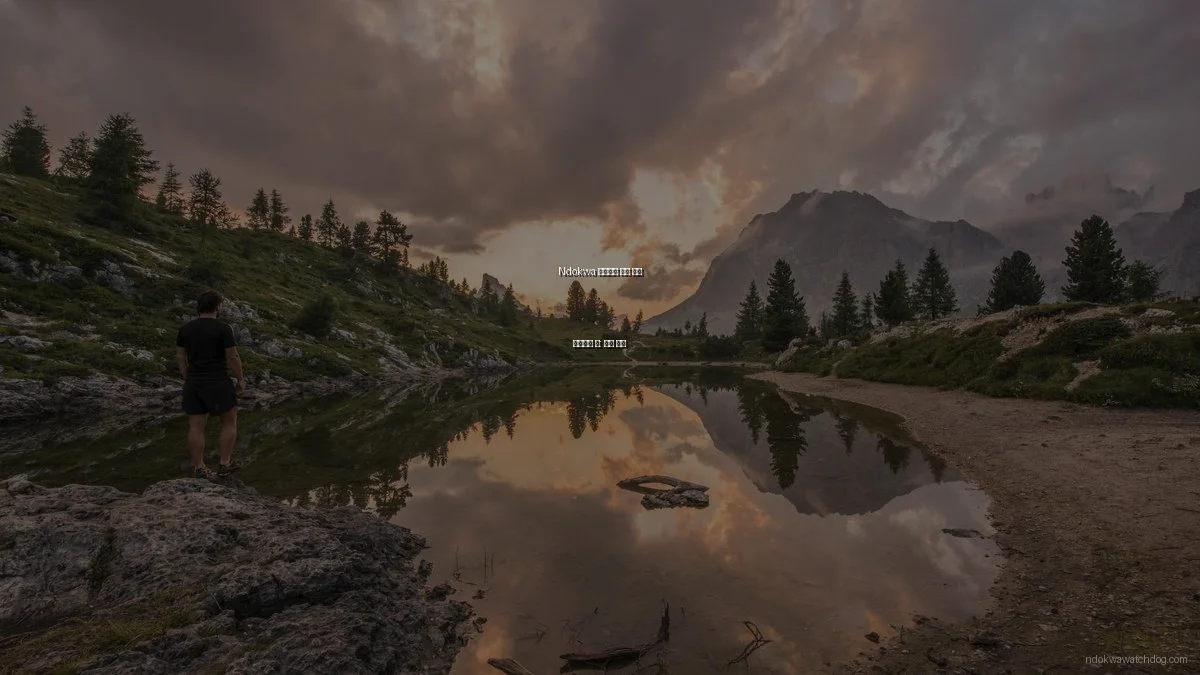 Ndokwa 커뮤니티 뉴스 깊게 활용하는 법: 꿀팁 모음