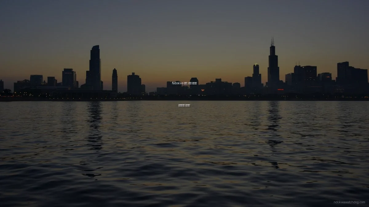 Ndokwa 뉴스, 직접 경험한 효과적인 활용법