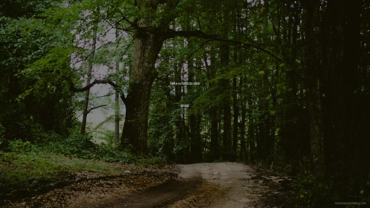 Ndokwa 커뮤니티 뉴스: 성공적인 활용 가이드