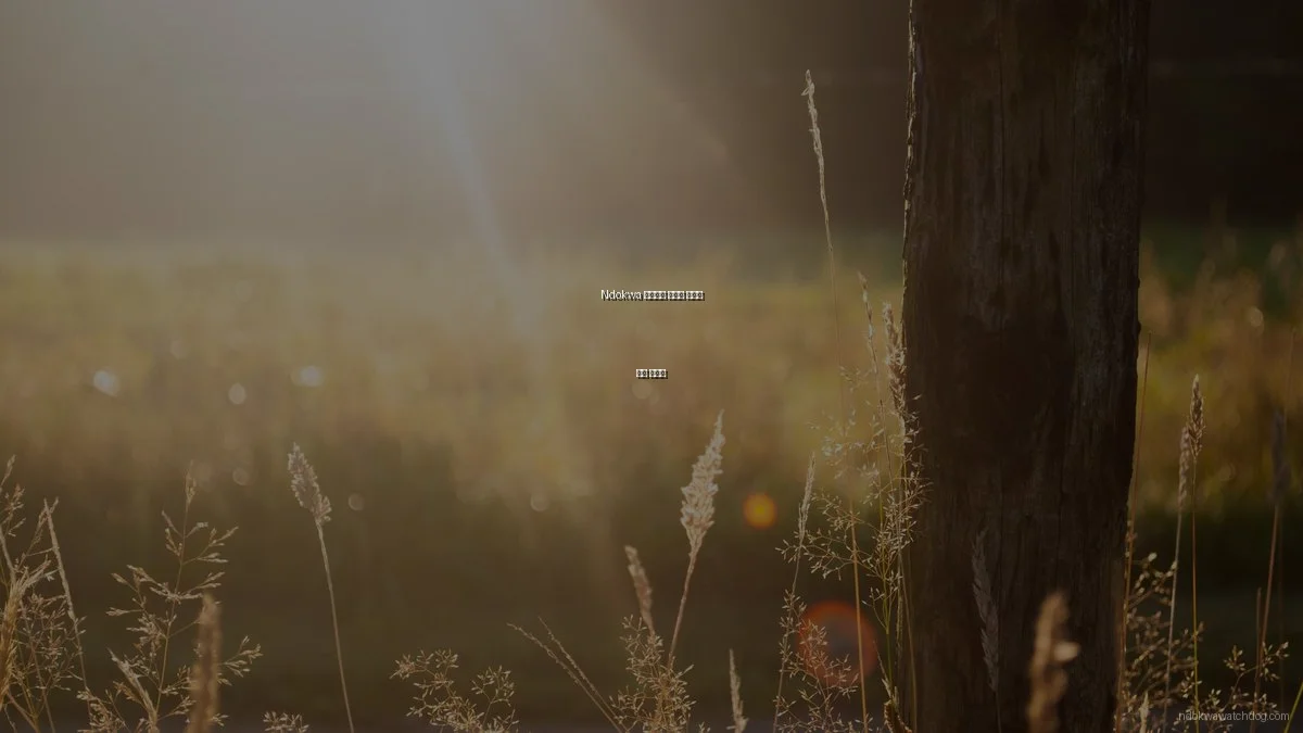 Ndokwa 커뮤니티 뉴스의 실수와 교훈 총정리