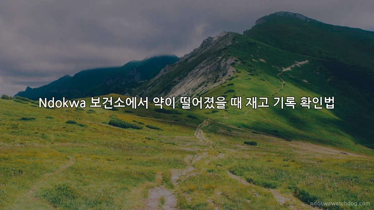 Ndokwa 보건소에서 약이 떨어졌을 때 재고 기록 확인법