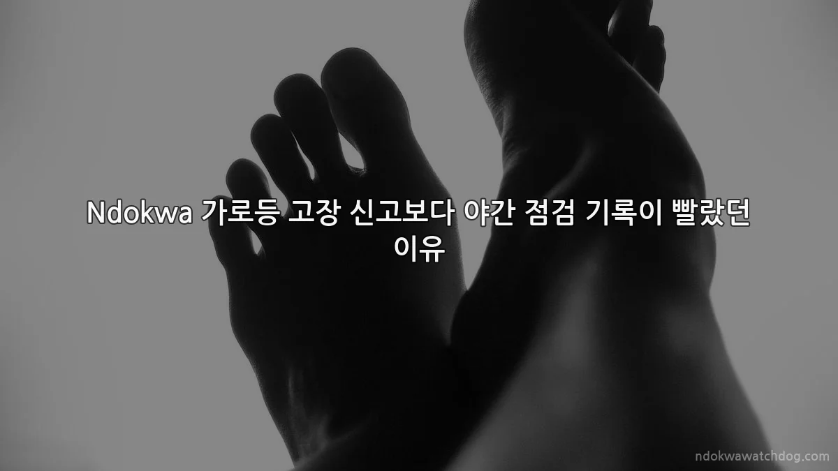 Ndokwa 가로등 고장 신고보다 야간 점검 기록이 빨랐던 이유