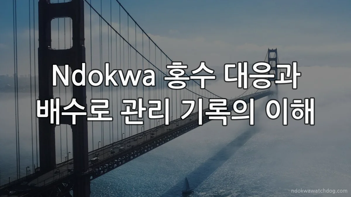 Ndokwa 홍수 대응과 배수로 관리 기록의 이해