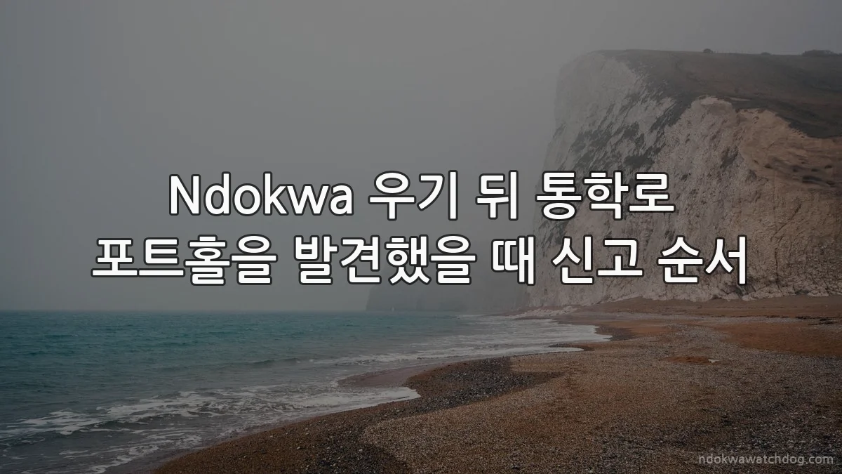 Ndokwa 우기 뒤 통학로 포트홀을 발견했을 때 신고 순서