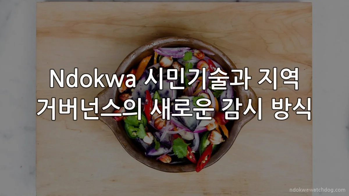 Ndokwa 시민기술과 지역 거버넌스의 새로운 감시 방식