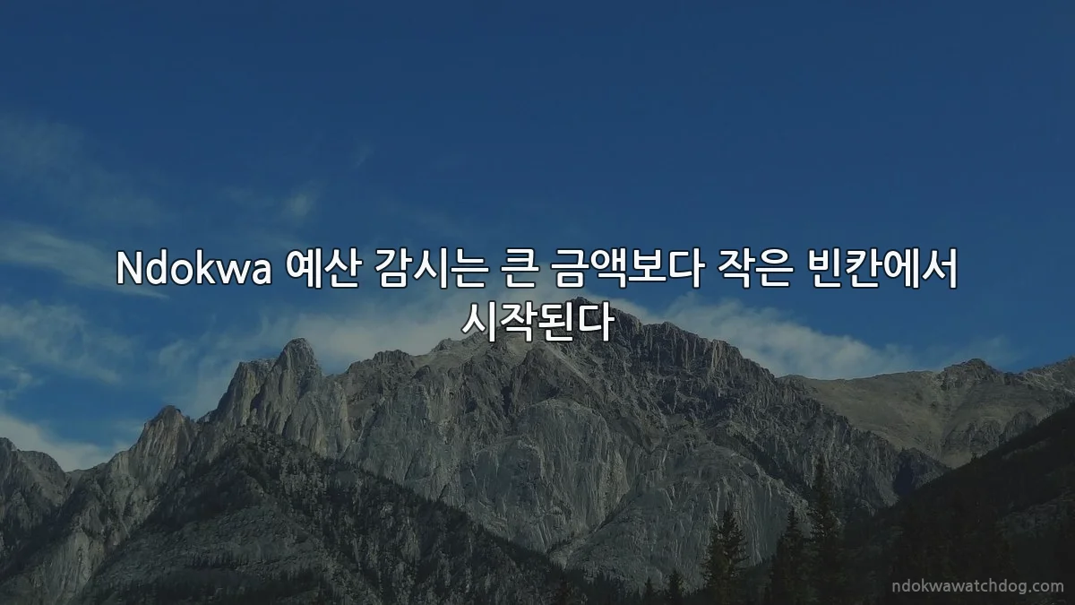 Ndokwa 예산 감시는 큰 금액보다 작은 빈칸에서 시작된다
