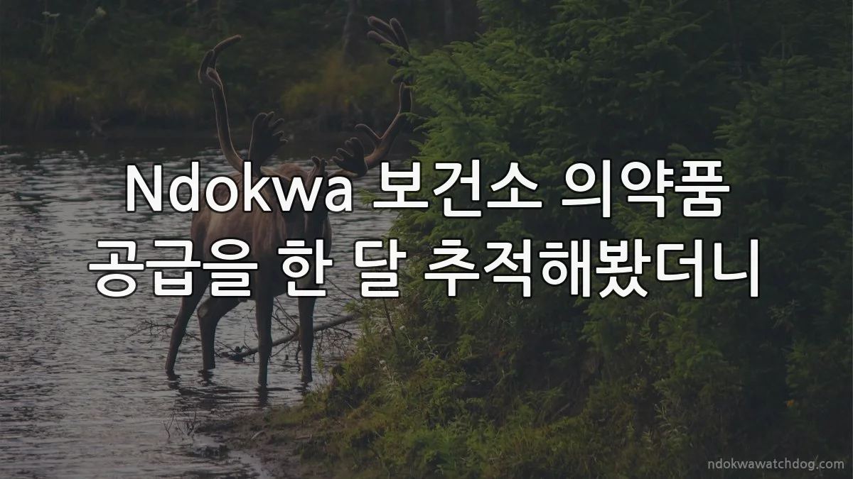 Ndokwa 보건소 의약품 공급을 한 달 추적해봤더니