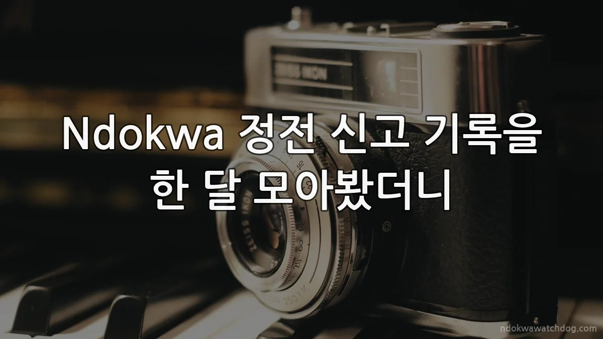 Ndokwa 정전 신고 기록을 한 달 모아봤더니