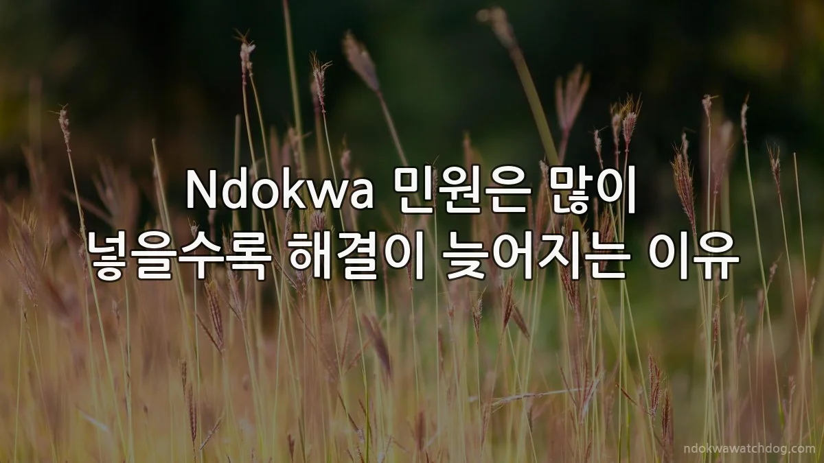 Ndokwa 민원은 많이 넣을수록 해결이 늦어지는 이유