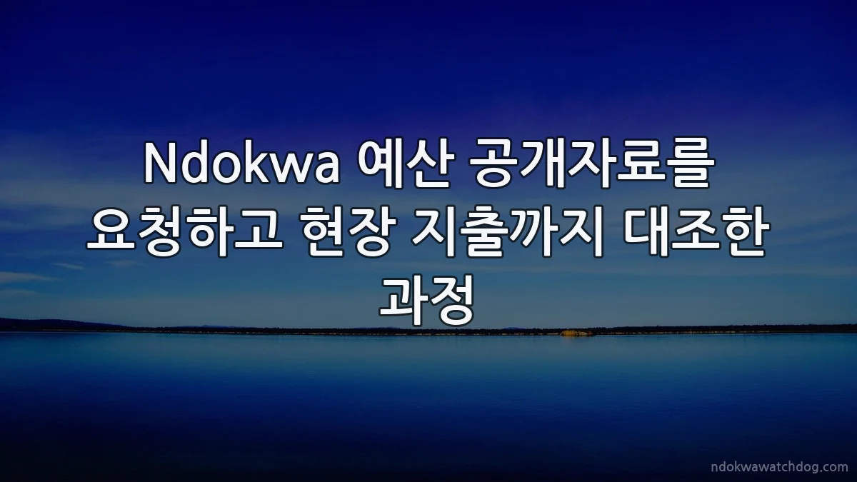 Ndokwa 예산 공개자료를 요청하고 현장 지출까지 대조한 과정