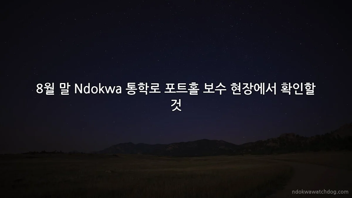 8월 말 Ndokwa 통학로 포트홀 보수 현장에서 확인할 것