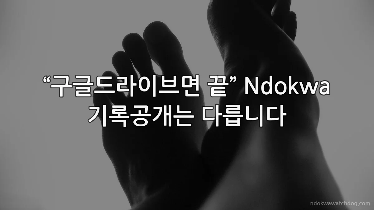 “구글드라이브면 끝” Ndokwa 기록공개는 다릅니다