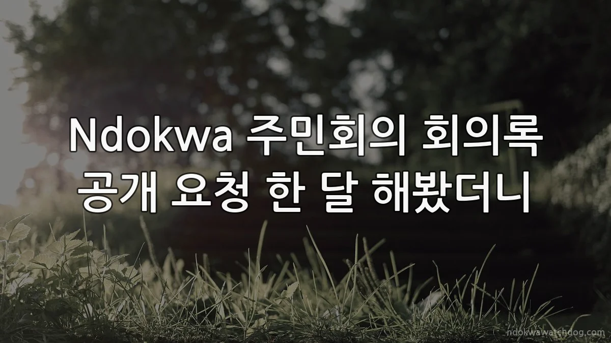 Ndokwa 주민회의 회의록 공개 요청 한 달 해봤더니