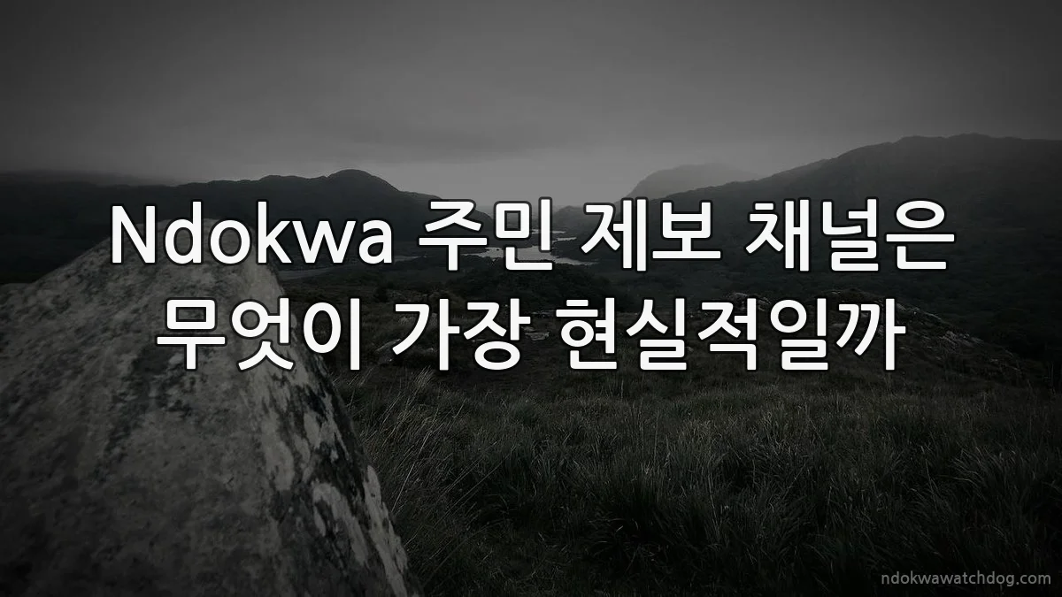 Ndokwa 주민 제보 채널은 무엇이 가장 현실적일까