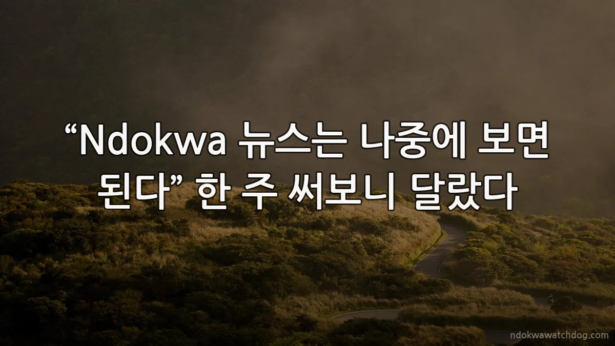 “Ndokwa 뉴스는 나중에 보면 된다” 한 주 써보니 달랐다