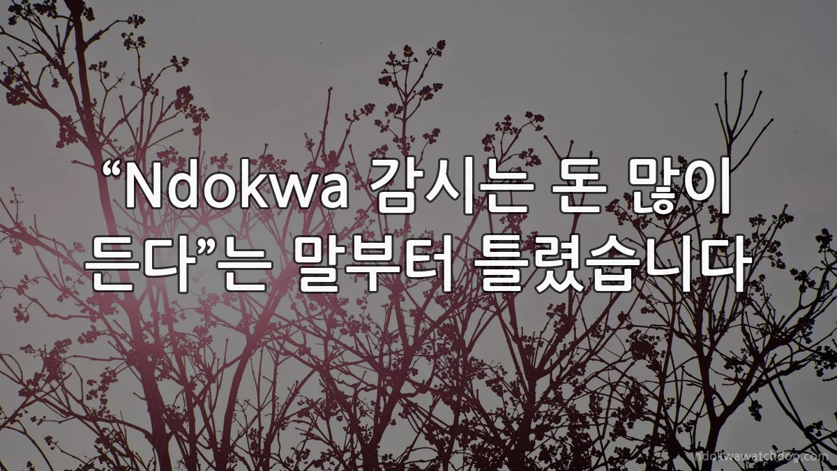 “Ndokwa 감시는 돈 많이 든다”는 말부터 틀렸습니다