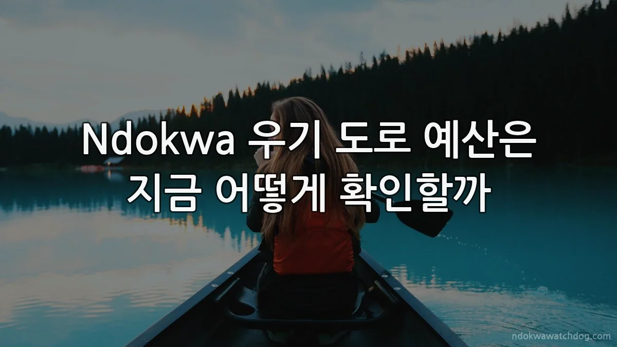 Ndokwa 우기 도로 예산은 지금 어떻게 확인할까