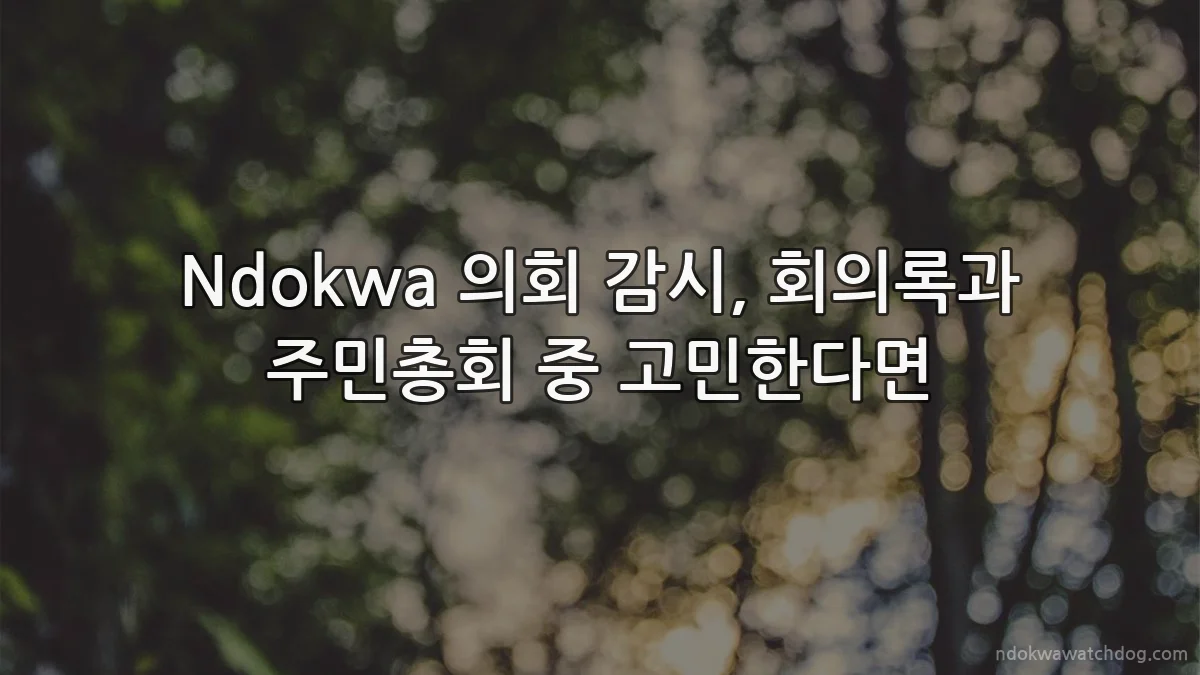 Ndokwa 의회 감시, 회의록과 주민총회 중 고민한다면