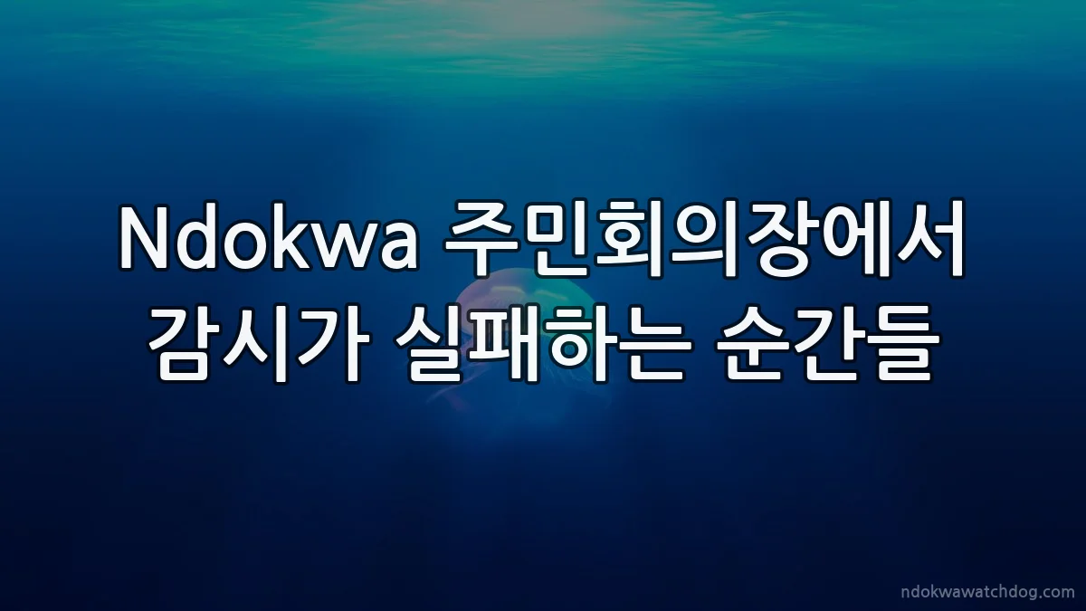 Ndokwa 주민회의장에서 감시가 실패하는 순간들