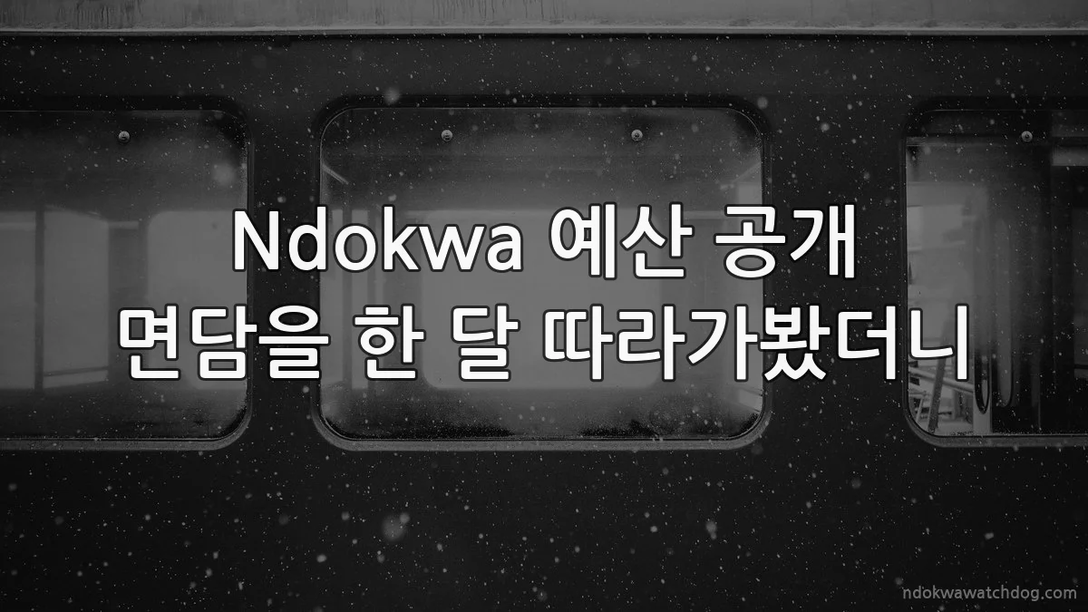 Ndokwa 예산 공개 면담을 한 달 따라가봤더니