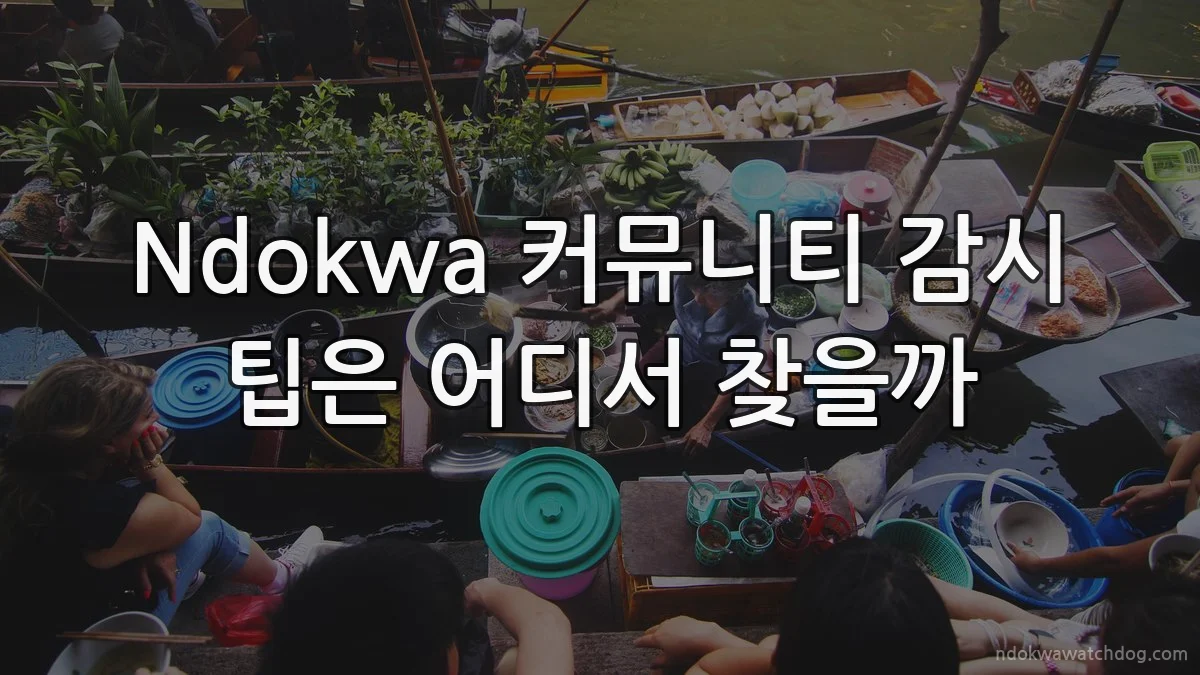 Ndokwa 커뮤니티 감시 팁은 어디서 찾을까